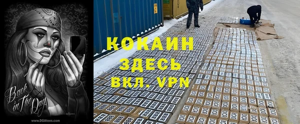 ECSTASY Алзамай