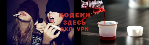 ECSTASY Алзамай