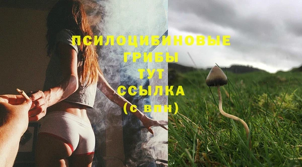 ECSTASY Алзамай