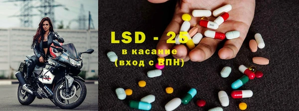 ECSTASY Алзамай