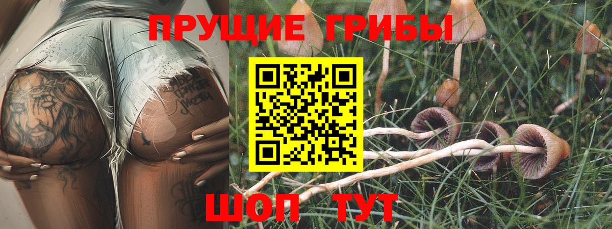 Сибай  Галлюциногенные грибы прущие грибы  Вход с VPN 