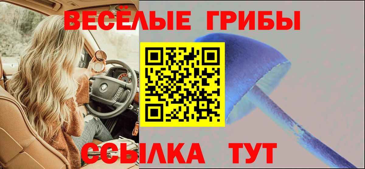 Галлюциногенные грибы Cubensis Сибай